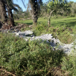 Schermata 2022-03-29 alle 12.31.06